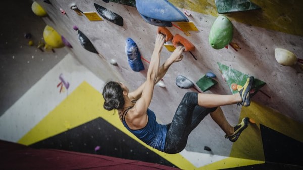 アマチュア無線の資格の選び方｜目的別おすすめ