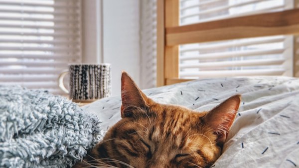 【FAQ】公園でドローンを飛ばすのはNG？