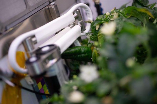 プライベートLTE(sXGP)の導入と免許